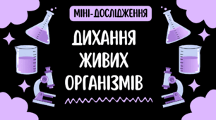 🧪🔬 Міні-дослідження «Дихання живих організмів на прикладі дріжджів»