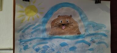0901028a-d2cc-383x176.jpg
