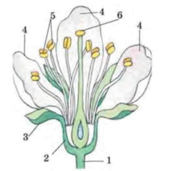 090102je-0060-249x250.png