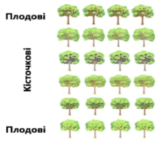 0901038r-4191-238x213.png