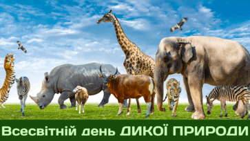 0901038u-b8c0-363x204.png
