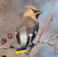 09010499-78e2-65x64.png