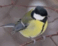 0901049b-b001-58x46.png