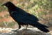 0901049c-1dd5-75x51.png