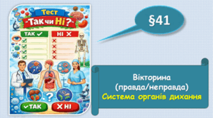 Вікторина "Правда/Неправда".Система органів дихання