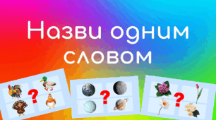 Дидактична гра  для дітей старшого дошкільного віку «Назви одним словом»