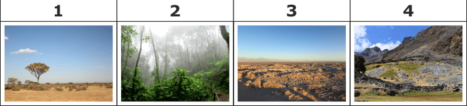 09010emj-889c-940x213.png