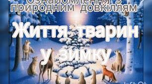 Ознайомлення з природним довкіллям ( Життя у зимку)