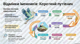 Інфографіка до уроку української мови у 6 класі " Відмінки іменників"