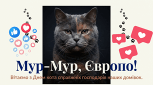 17.02 День кота в Європі