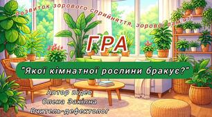 Розвиток зорового сприйняття, зорової пам'яті. Гра "Якої кімнатної рослини бракує?"