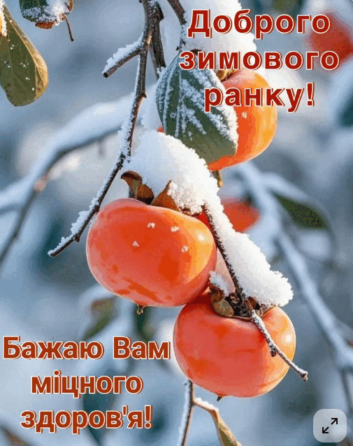 09010kk1-45ca-505x637.png