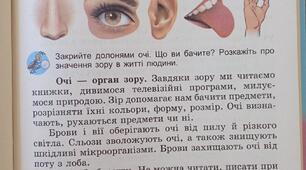 Яка роль органів чуття