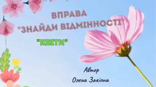 Вправа "Знайди відмінності"