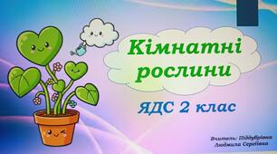 Презентація "Кімнатні рослини. Догляд за кімнатними рослинами". ЯДС 2 клас