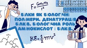 Білки як біологічні полімери. Денатурація білків. Біологічна роль амінокислот і білків.