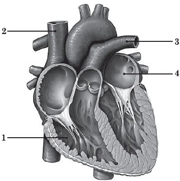 09010uwn-ae9d-370x372.png