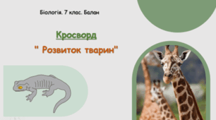 Кросворд   " Розвиток тварин"