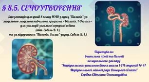 § 8.5. СЕЧОУТВОРЕННЯ