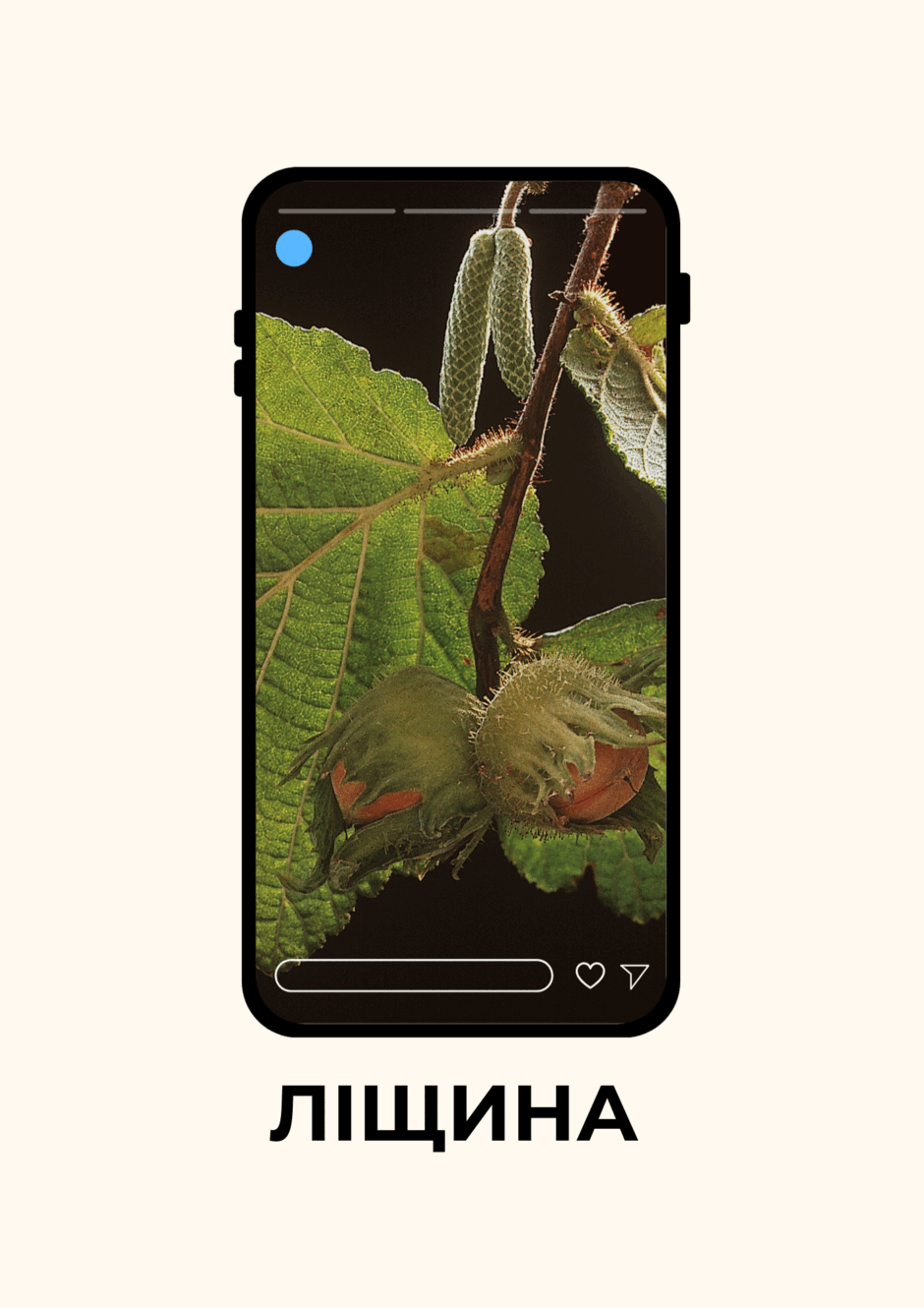 09010z6e-c723-940x1330.png