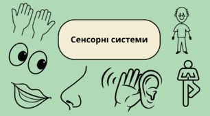 Сенсорні системи