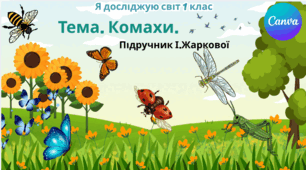 Презентація "Комахи." ЯДС 1 клас, підручник І. Жаркової