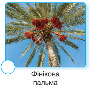 0901158e-8615-295x288.png