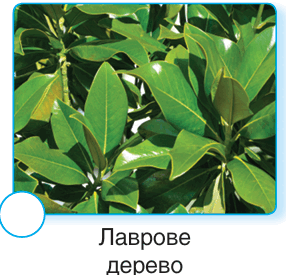 0901158i-87c0-286x275.png