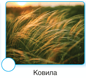 0901158l-e9e4-287x261.png