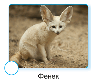 090115aw-73d2-302x268.png