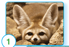 090115d7-dbf4-223x152.png