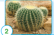 090115dl-3f11-216x142.png