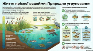 Природне угрупування- прісна водойма