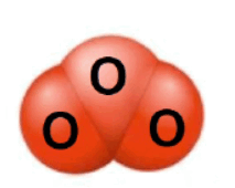 090116ge-8770-213x170.png