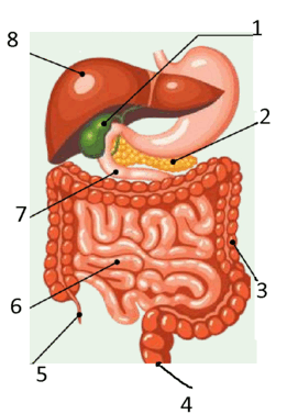 090117ij-a166-261x377.png