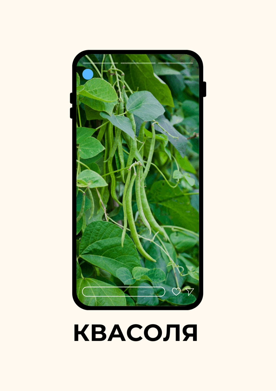 090117py-79ae-940x1330.png