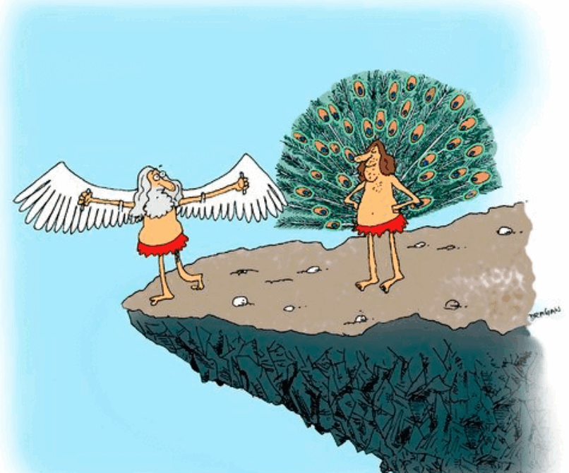 090118jw-fb50-806x670.png