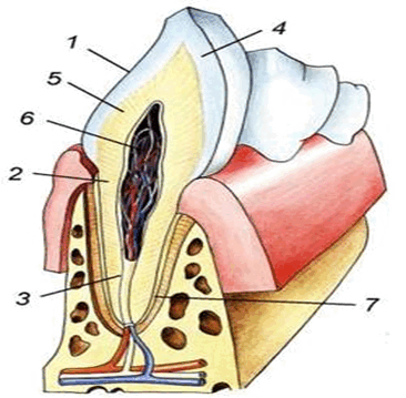 090118pa-6105-411x403.png