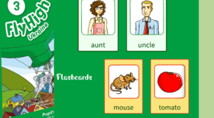 Flashcards Fly High 3