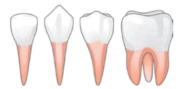 09011a8k-5e00-380x180.png