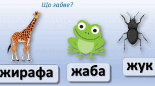 Презентація "Буква Ж. Закріплення"