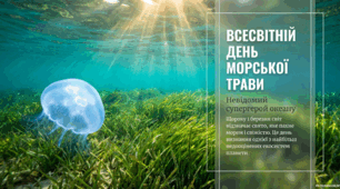 1 березня - Всесвітній день морської трави 