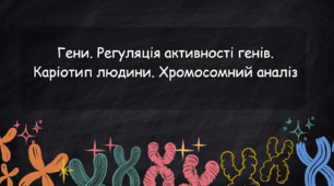 Гени. Регуляція активності генів. Каріотип людини. Хромосомний аналіз