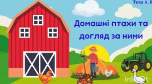 Фрагмет відеозаняття "Домашні птахи та догляд за ними"