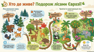 Інфографіка «Подорож лісами Євразії» для уроків Я Досліджую Світ 4 клас