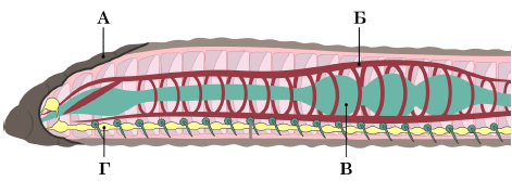 09011p0a-81f0-471x167.png