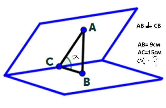 09011qdo-7969-558x362.png