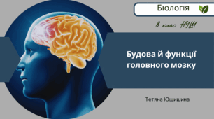 Будова й функції головного мозку. 8 клас. НУШ