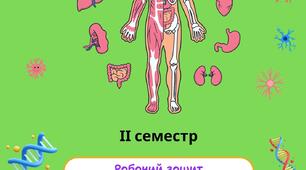 Робочий зошит з біології 8 клас ІІ семестр