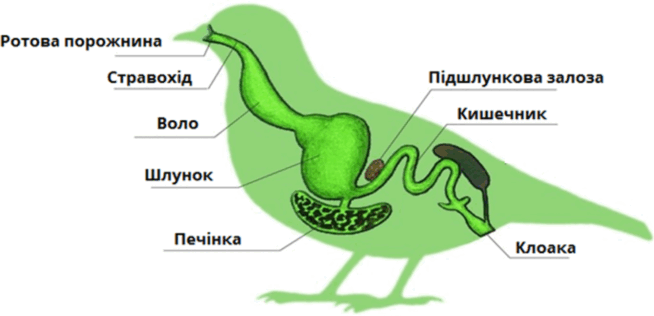 09011tv8-8633-940x454.png